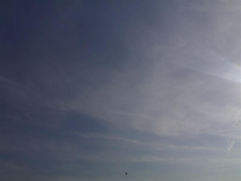200704091807 .jpg